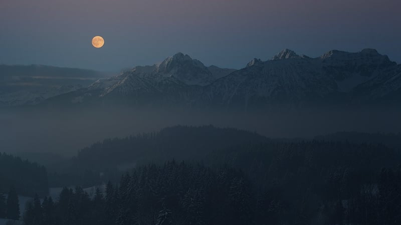 Moonlit Dance
